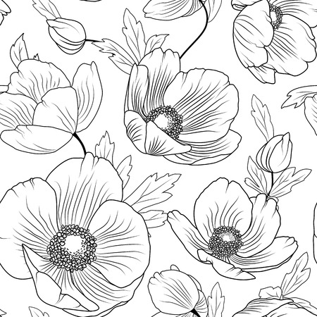 Poppy flowers buds leaves. Seamless floral pattern texture. Detailed black outline drawing on white background. Meadow field nature. Botanical vector design illustration.のイラスト素材