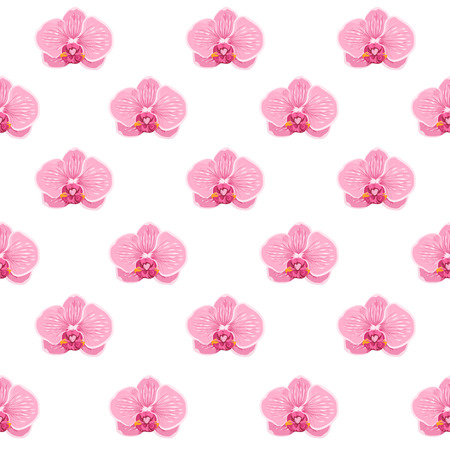 Phalaenopsis moth orchid floral botanical seamless pattern on white background. Beautiful bloom blossom pink purple big flower head detailed drawing. Vector design illustration. Exotic spring summer.のイラスト素材