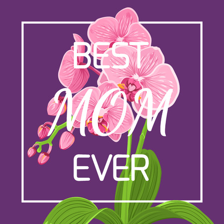 Mothers day floral spring greeting card template. Exotic pink purple orchid phalaenopsis flower plant in square rectangular border frame on violet background. Best mom ever headline text placeholder.のイラスト素材