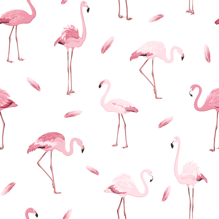 Exotic pink flamingos colony flamboyance flock feather seamless pattern on clean white background. Wading bird species realistic detailed vector design illustration. Vector design illustration.のイラスト素材