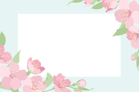Cherry sakura tree blossom. Rectangular border frame card template. Corners decorated with pink blooming flowers. Light blue white background. Placeholder for text title. Vector design illustration.のイラスト素材