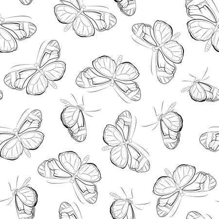 Butterfly beautiful insects seamless pattern. Wings flight motion. Detailed black line drawing on white background.のイラスト素材