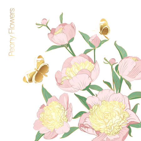 Peony rose flower pink purple bloom blossom. Shiny golden butterfly insects. Isolated plant on white background.のイラスト素材
