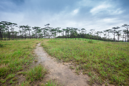 Travel landscapeの写真素材