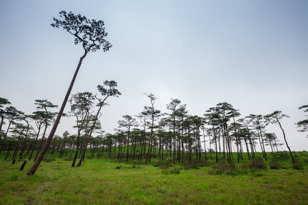 Travel landscapeの写真素材