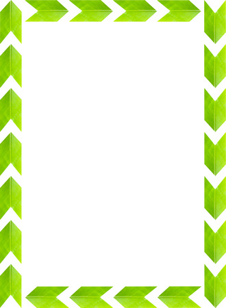 green leaves picture frame with white background, copy spaceの写真素材