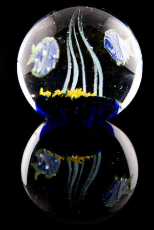 Glass Ball, and Fishの写真素材