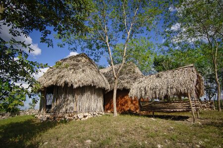 Mexican plantation, aloe vera plantation and dryers.の写真素材