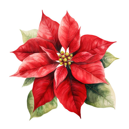 Poinsettia Flower For Christmas Event. Watercolor Style. AI Generatedの素材