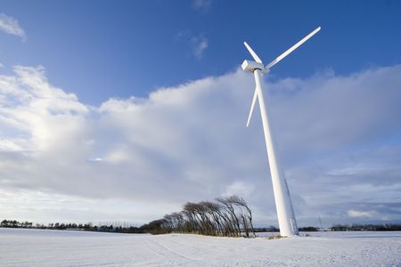 Wind turbine in snow filled landscape. A row of wind blown trees separates two fields.の写真素材