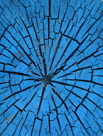 Old tree trunk stump colored paintの写真素材