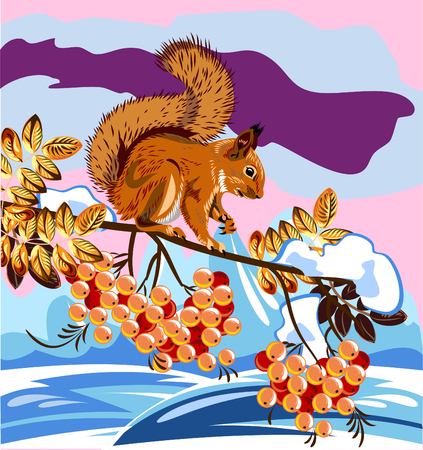 squirrel sitting on a branch of rowan rowanのイラスト素材
