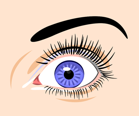 female eye surpriseのイラスト素材