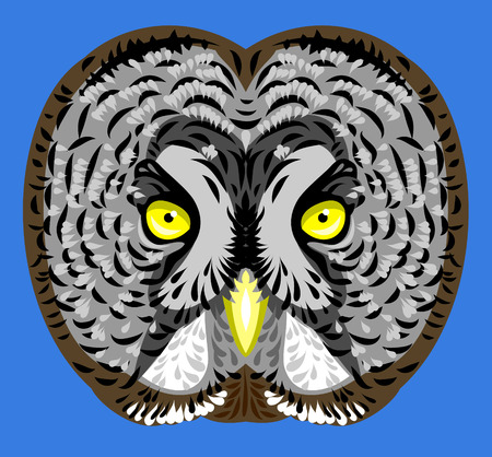 Portrait of owlsのイラスト素材