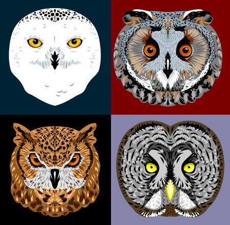 Set Owl portraits vector illustrationのイラスト素材