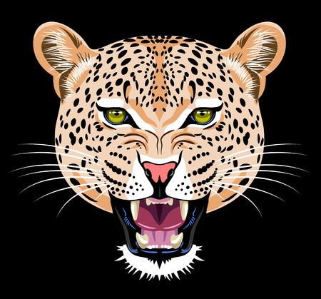 Portrait of jaguarのイラスト素材