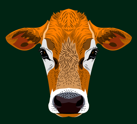 cow portraitのイラスト素材