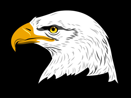 Portrait of an eagleのイラスト素材