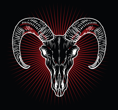 Horned sheep skullの写真素材