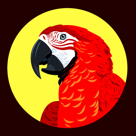 Portrait of Ara parrotのイラスト素材