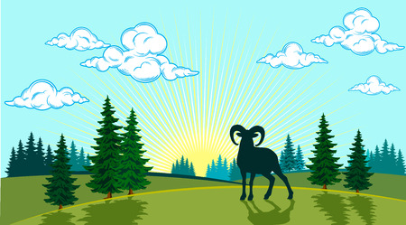 Summer landscape of the valley with the wild sheep in the background of the sunのイラスト素材