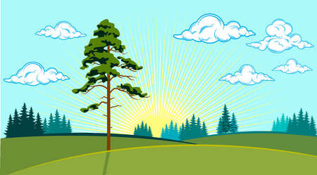 Summer landscape of the valley with pines against the sunのイラスト素材