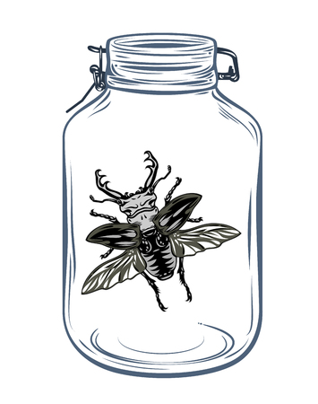 Beetle in a glass jar, freehand drawingのイラスト素材