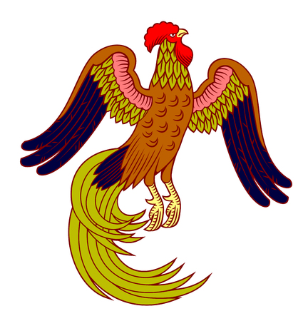 An image of a cock with a long tail in the style of engravingのイラスト素材