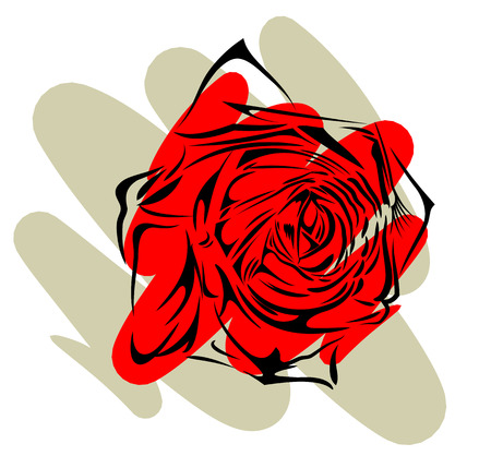 Outline of a blossoming rose, drawing by handのイラスト素材