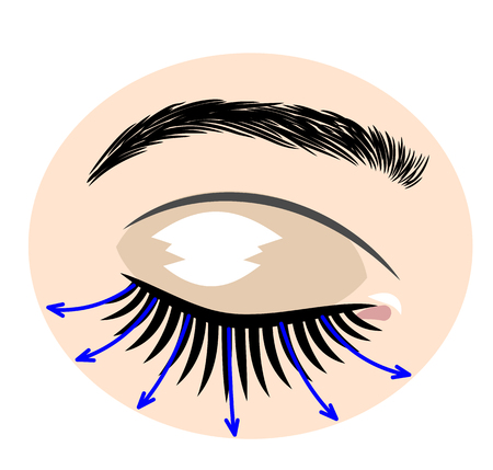 Eyes with extended artificial eyelashesのイラスト素材