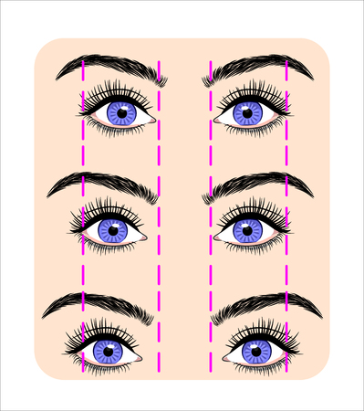 Various forms of human eyesのイラスト素材