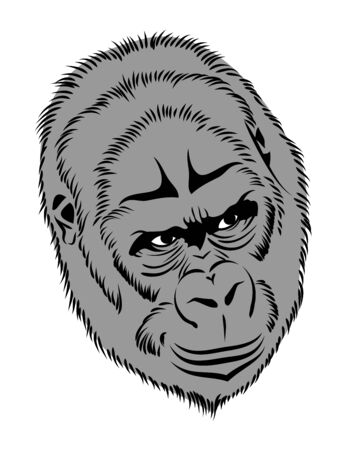 Portrait of a gorilla, monkeyのイラスト素材