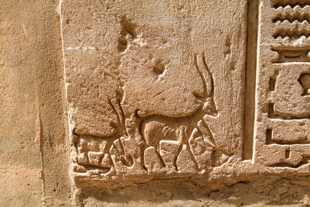 Beautiful carving of a goat mother and child on a wall of the ancient Egyptian Horus temple, Edfuの写真素材