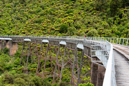 Train tracks on the old coach road, famous mountain biking route, North Island of New Zealandの写真素材