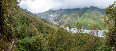 Narrow path of the Roberts Point Track, Franz Josef Glacier National Park, New Zealandの写真素材