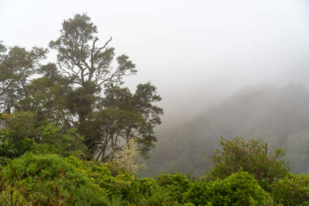 Scenic mountain landscape at Remutaka crossing, North Island of New Zealandの写真素材
