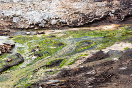Natural wonders at Waiotapu Thermal Wonderland, Rotorua in New Zealandの写真素材