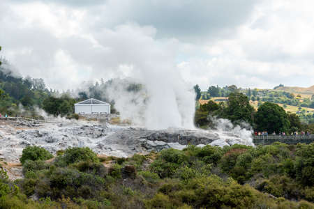 Geothermal field with geysers at Whakarewarewa village, North Island of New Zealandの写真素材