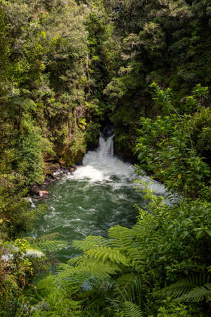Cascade at Caituna river near Rotorua, North Island of New Zealandの写真素材
