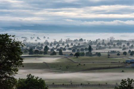 Great pasture landscape in the early morning at Matamata, North Island of New Zealandの写真素材
