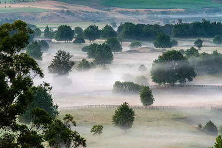 Great pasture landscape in the early morning at Matamata, North Island of New Zealandの写真素材