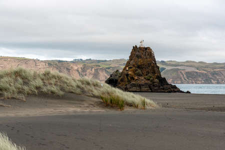 Dark colored sand at Whatipu beach near Auckland, New Zealandの写真素材