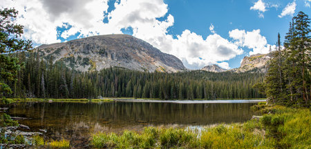 Calm lake Spruce in the middle of the Rocky Mountains NP, USAの写真素材
