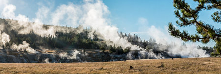 Steaming mud pots in the early morning in the Yellowstone National Park, USAの写真素材