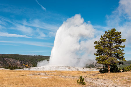 Famous Old Faithful geyser erupting, Yellowstone National Park, USAの写真素材