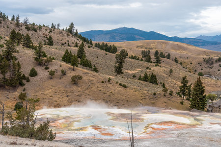 Prairie landscape at Mammoth Hot Springs, Yellowstone National Park, USAの写真素材