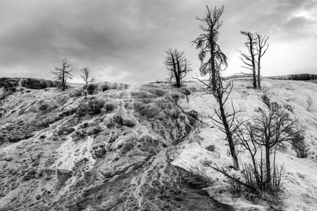 Scenic lifeless calcium terraces at Mammoth Hot Springs, Yellowstone National Park, USAの写真素材