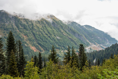 Magnificent mountain landscape around Mount Rainier National Park, USAの写真素材