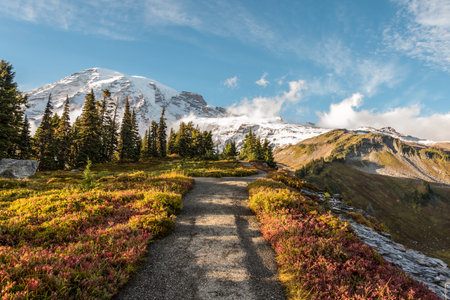 View on the magnificent Mount Rainier from Paradise Vista trail, USAの写真素材
