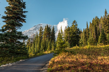 View on the magnificent Mount Rainier from Paradise Vista trail, USAの写真素材